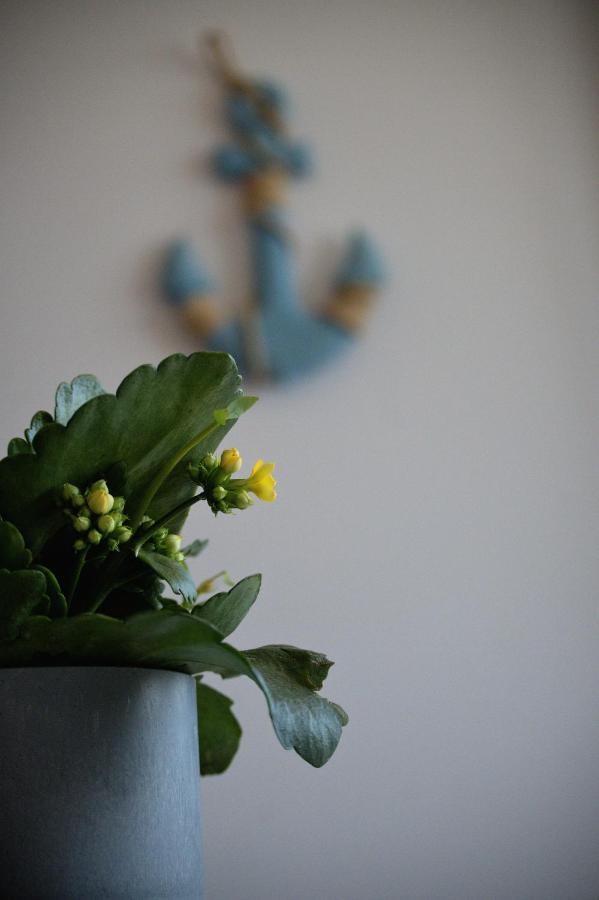 Apartamenty Marynarskie Debina  Buitenkant foto
